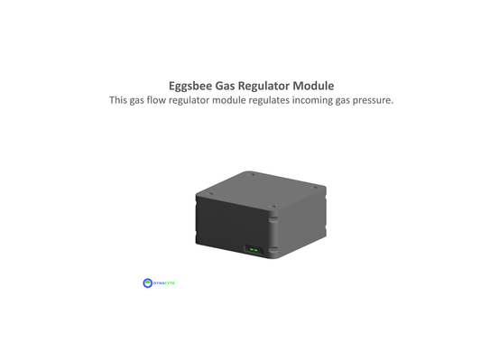 Eggsbee™  Gas Regulator Module